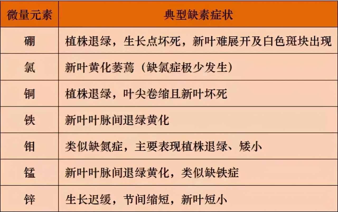 土壤微量元素功能及缺素診斷