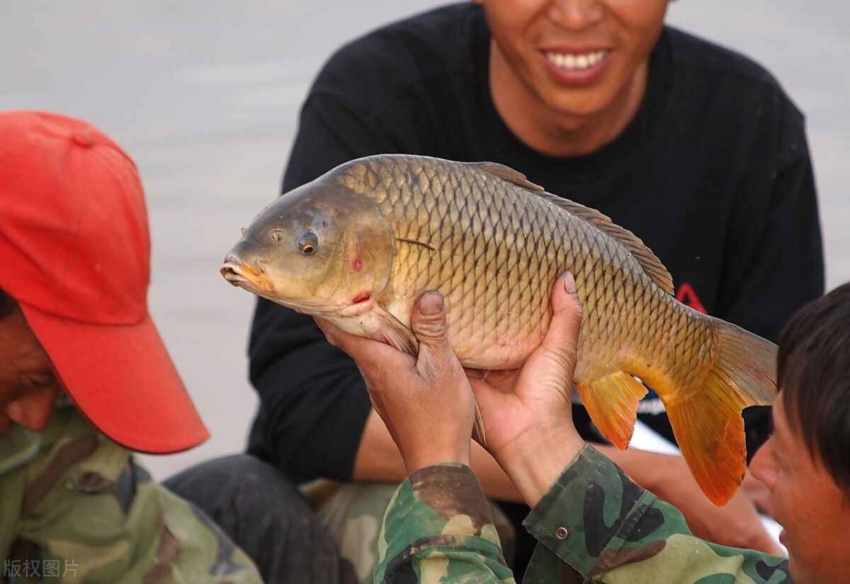 黃河調(diào)水調(diào)沙19年，下游成“泥河”，專家卻說黃河水在變清？