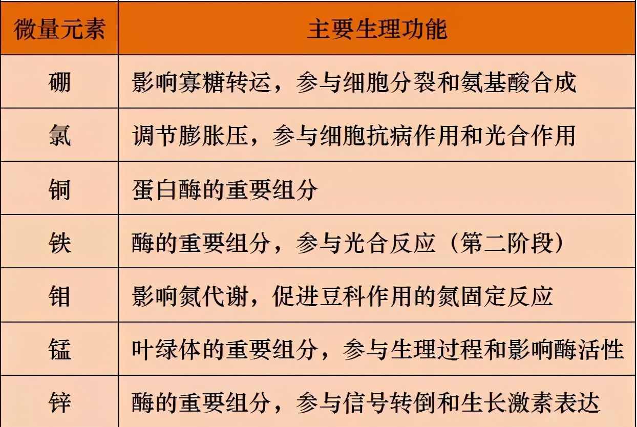 土壤微量元素功能及缺素診斷