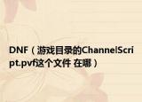 DNF（游戲目錄的ChannelScript.pvf這個(gè)文件 在哪）