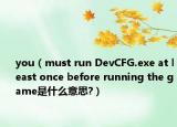 you（must run DevCFG.exe at least once before running the game是什么意思?）