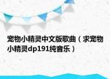 寵物小精靈中文版歌曲（求寵物小精靈dp191純音樂(lè)）