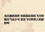 當日最新消息 東航回應客機飛行時艙內飛出小鳥 是在飛行時進入機艙的嗎