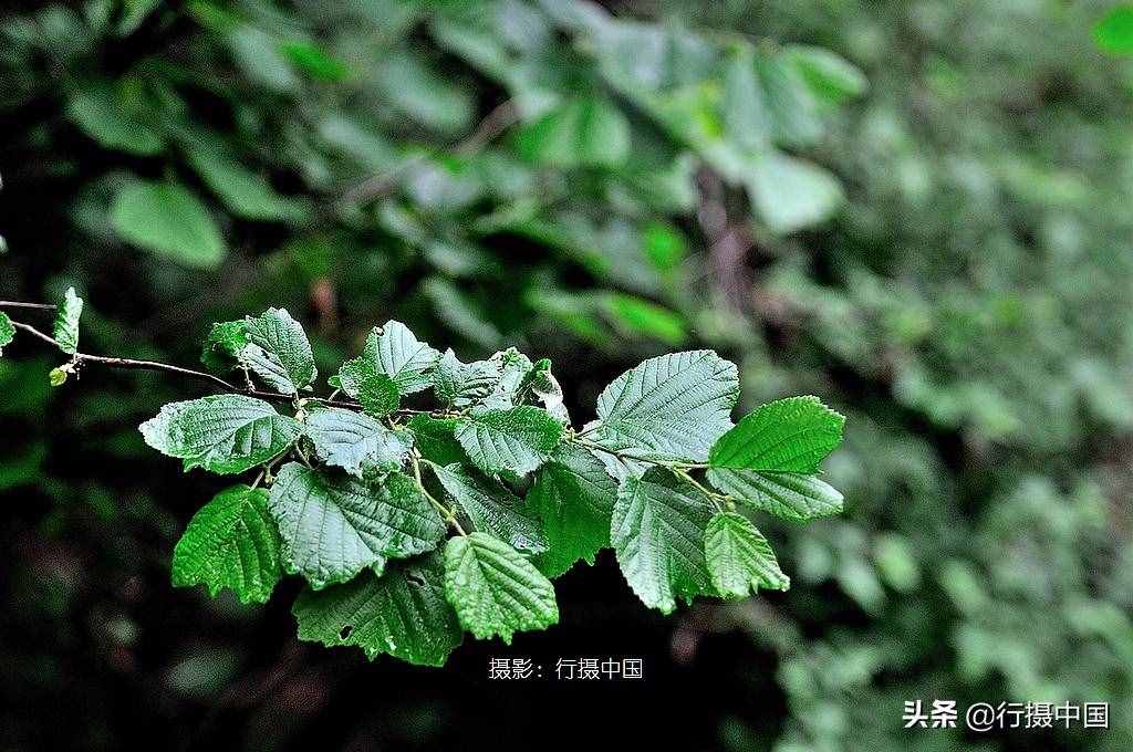 周末沈陽(yáng)周邊游攻略：鮮為人知的棋盤(pán)山穿越路線