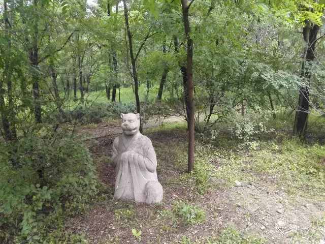 自駕大興，這個森林公園竟如此特殊，附近吃住玩更是絕了！