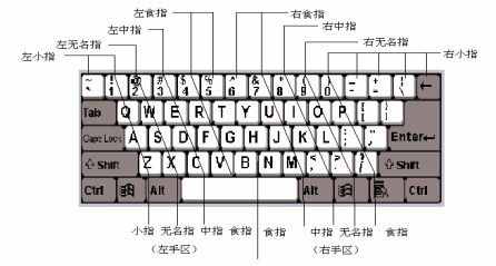 快速學(xué)會(huì)鍵盤盲打技巧（速收藏）