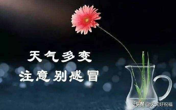 清晨發(fā)朋友圈天冷注意保暖問候短信，天氣冷了的關(guān)心短信祝福語