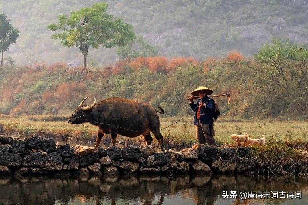 俯首甘為孺子牛，不待揚(yáng)鞭自奮蹄