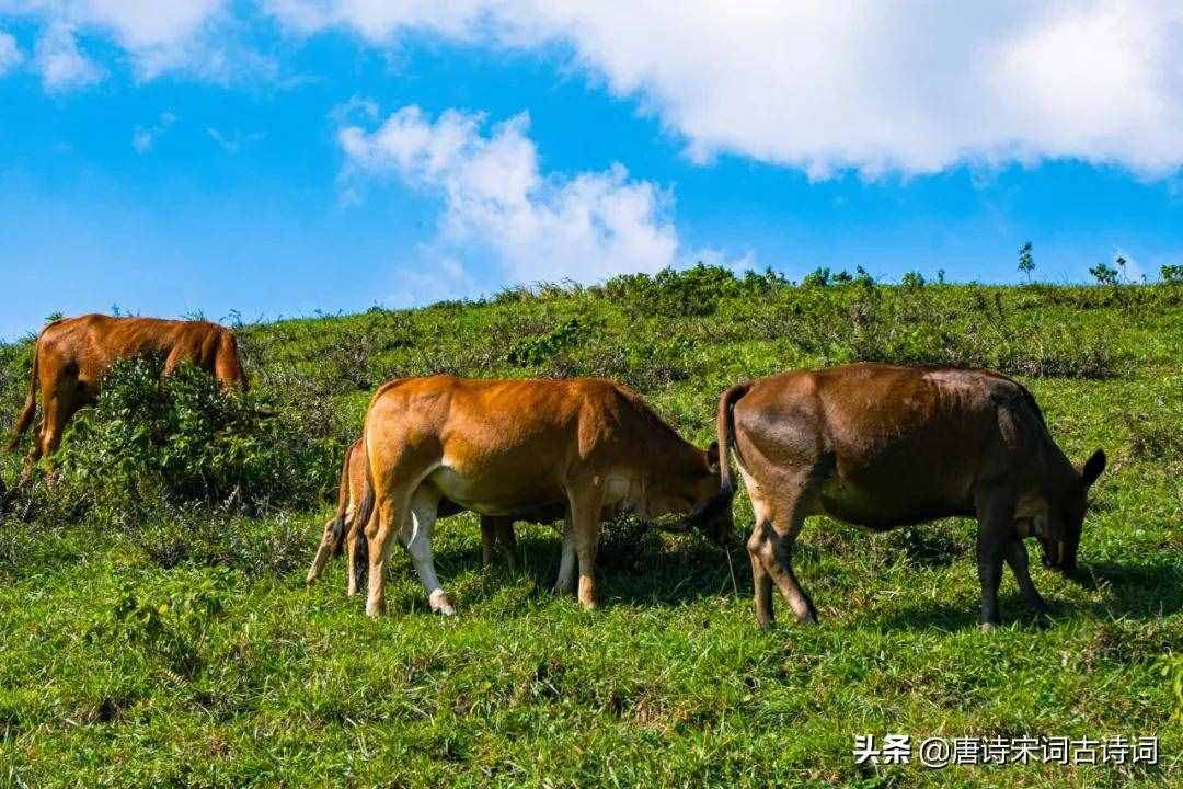 俯首甘為孺子牛，不待揚(yáng)鞭自奮蹄