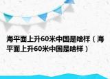 海平面上升60米中國是啥樣（海平面上升60米中國是啥樣）