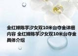 全紅嬋陳芋汐女雙10米臺奪金詳細(xì)內(nèi)容 全紅嬋陳芋汐女雙10米臺奪金具體介紹