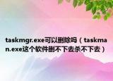 taskmgr.exe可以刪除嗎（taskman.exe這個(gè)軟件刪不下去殺不下去）