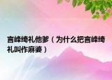 言峰綺禮他爹（為什么把言峰綺禮叫作麻婆）