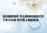 當(dāng)日最新消息 怎么看單位給自己交了多少社保 支付寶上就能查詢