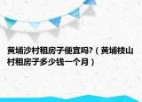 黃埔沙村租房子便宜嗎?（黃埔枝山村租房子多少錢一個(gè)月）