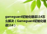 gameguard初始化錯(cuò)誤114怎么解決（Gameguard初始化錯(cuò)誤114）