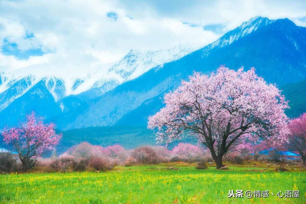 會者定離 一期一祈