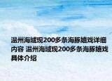 溫州海域現(xiàn)200多條海豚嬉戲詳細內容 溫州海域現(xiàn)200多條海豚嬉戲具體介紹