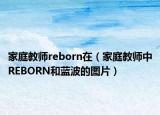 家庭教師reborn在（家庭教師中REBORN和藍波的圖片）