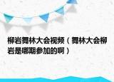 柳巖舞林大會(huì)視頻（舞林大會(huì)柳巖是哪期參加的?。? /></span></a>
                        <h2><a href=