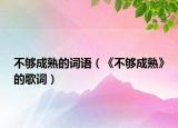 不夠成熟的詞語（《不夠成熟》的歌詞）