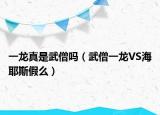 一龍真是武僧嗎（武僧一龍VS海耶斯假么）