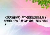 《致美麗的你》EXO在里面演什么?。ㄒ獪?zhǔn)確~還有在什么臺播出   拜托了跪求）