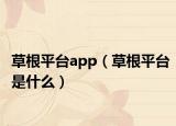 草根平臺(tái)app（草根平臺(tái)是什么）