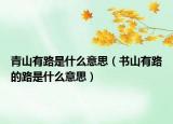 青山有路是什么意思（書(shū)山有路的路是什么意思）