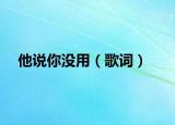 他說(shuō)你沒(méi)用（歌詞）