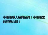 小爸爸感人經(jīng)典臺詞（小爸爸里的經(jīng)典臺詞）