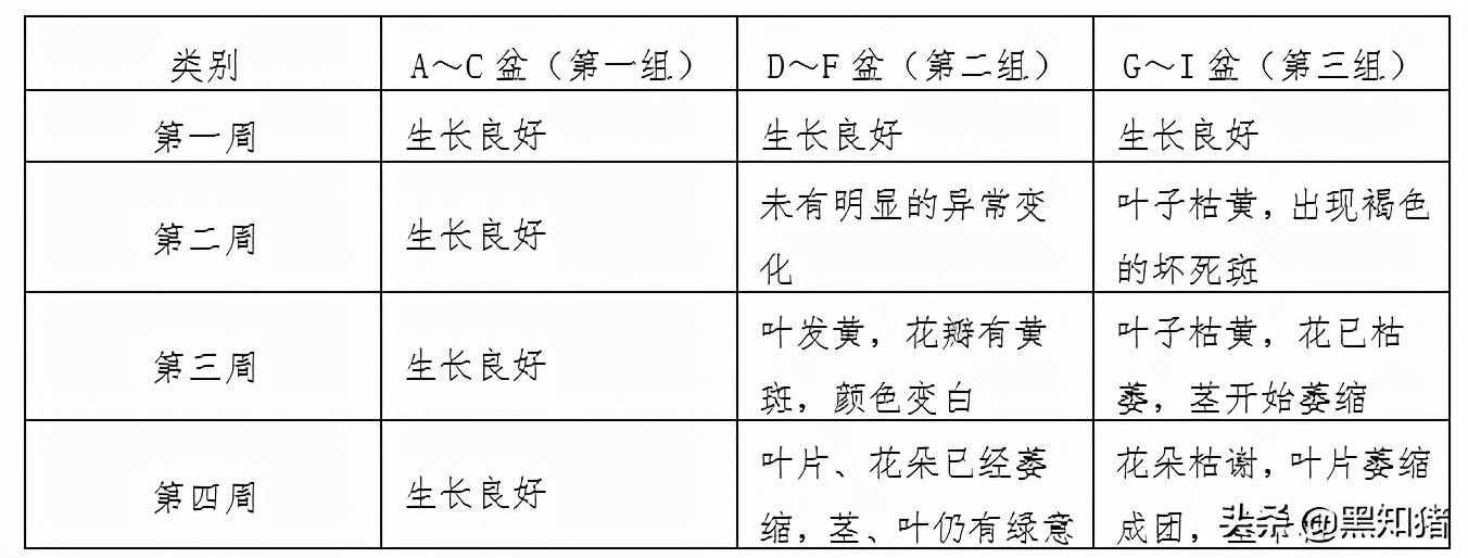 二氧化硫?qū)χ参锏奈：?，?shí)驗(yàn)證實(shí)結(jié)果，如今治理已顯成效