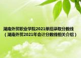 湖南外貿(mào)職業(yè)學(xué)院2021單招錄取分?jǐn)?shù)線（湖南外貿(mào)2021年會(huì)計(jì)分?jǐn)?shù)線相關(guān)介紹）