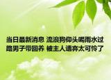 當(dāng)日最新消息 流浪狗仰頭喝雨水過路男子帶回養(yǎng) 被主人遺棄太可憐了