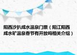 陽西沙扒咸水溫泉門票（陽江陽西咸水礦溫泉春節(jié)有開放嗎相關(guān)介紹）