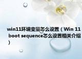 win11環(huán)境變量怎么設(shè)置（Win 11 boot sequence怎么設(shè)置相關(guān)介紹）