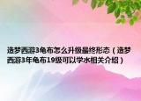 造夢西游3龜布怎么升級(jí)最終形態(tài)（造夢西游3年龜布19級(jí)可以學(xué)水相關(guān)介紹）