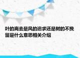 葉的離去是風(fēng)的追求還是樹(shù)的不挽留是什么意思相關(guān)介紹