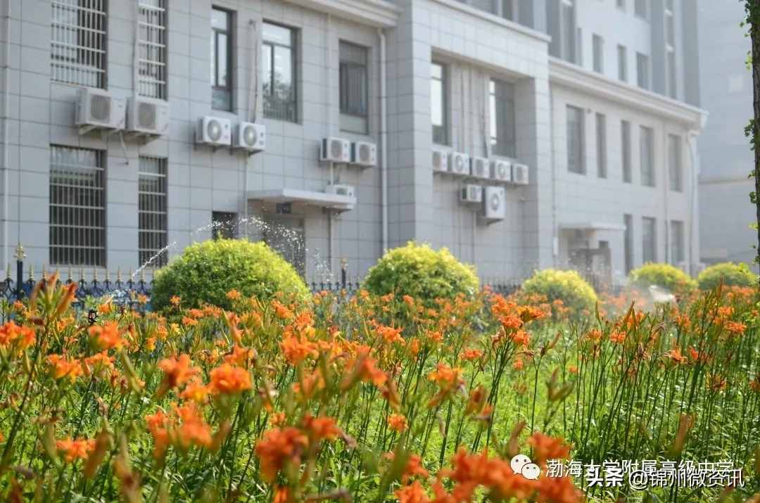 錦州渤海大學(xué)附中、育明、藝高2020年招生計(jì)劃