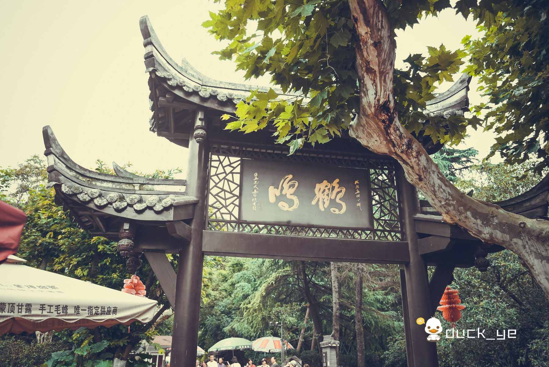 成都旅游必打卡六大景點(diǎn)，首推是個(gè)免費(fèi)公園，寬窄巷子只能排第五