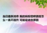 當(dāng)日最新消息 我的螞蟻借唄額度怎么一直不提升 可能是這些原因