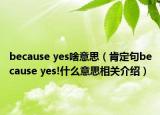 because yes啥意思（肯定句because yes!什么意思相關介紹）