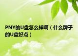 PNY的U盤怎么樣啊（什么牌子的U盤好點）