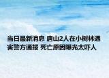 當(dāng)日最新消息 唐山2人在小樹林遇害警方通報(bào) 死亡原因曝光太嚇人