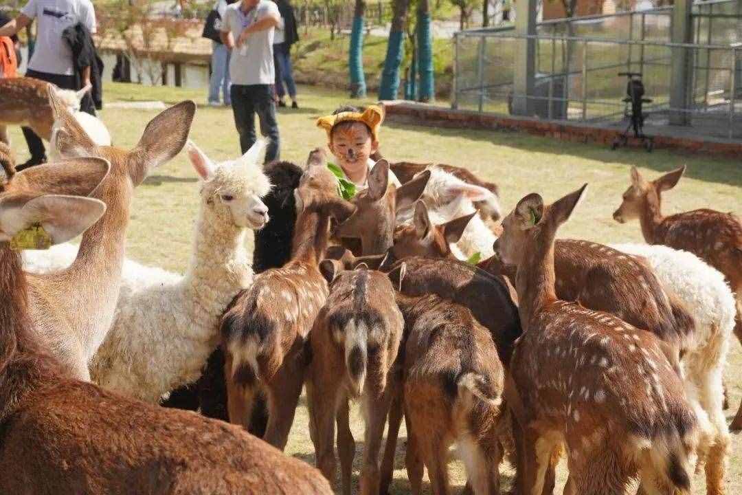 12月，南京這六個景點免費開放啦