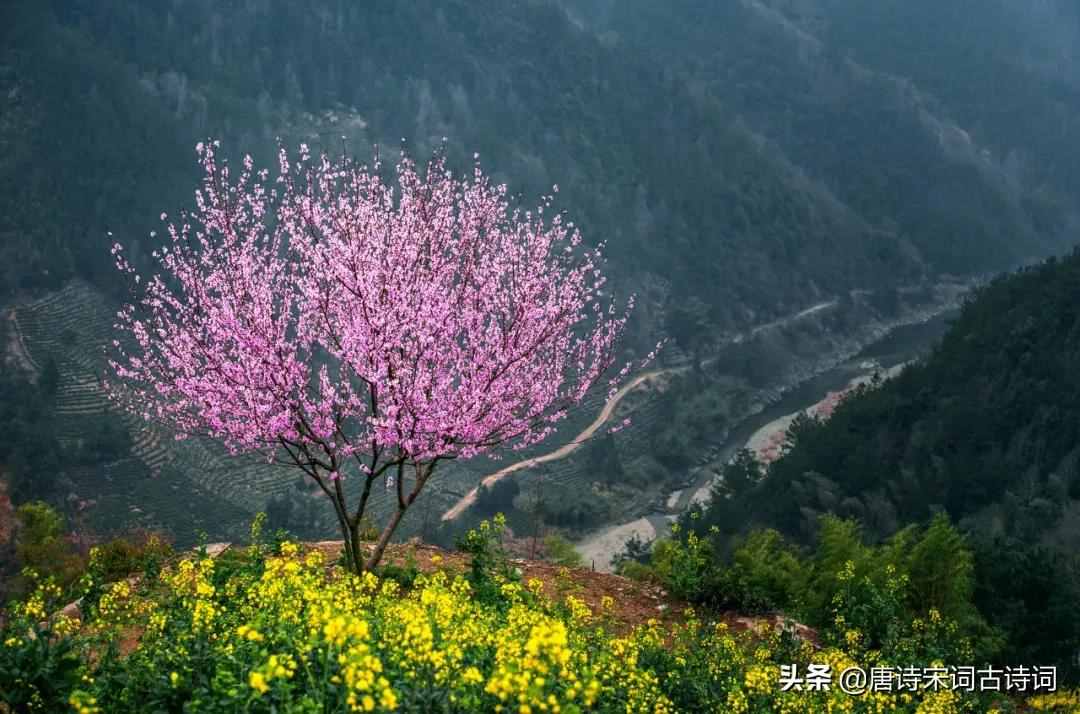 萬籟此俱寂，但余鐘磬音