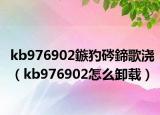 kb976902鏃犳硶鍗歌澆（kb976902怎么卸載）