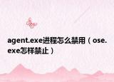 agent.exe進(jìn)程怎么禁用（ose.exe怎樣禁止）