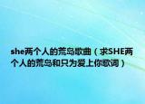 she兩個人的荒島歌曲（求SHE兩個人的荒島和只為愛上你歌詞）