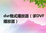 dvr格式播放器（求DVF播放器）